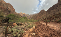 A picture of what remains after major flooding inside the Crand Canyon and the Colorado River. There is a National Park Service wooden post that is severely damaged and the landscape show mud, rocks, debris and vegetation all forcefully pushed downstream.
